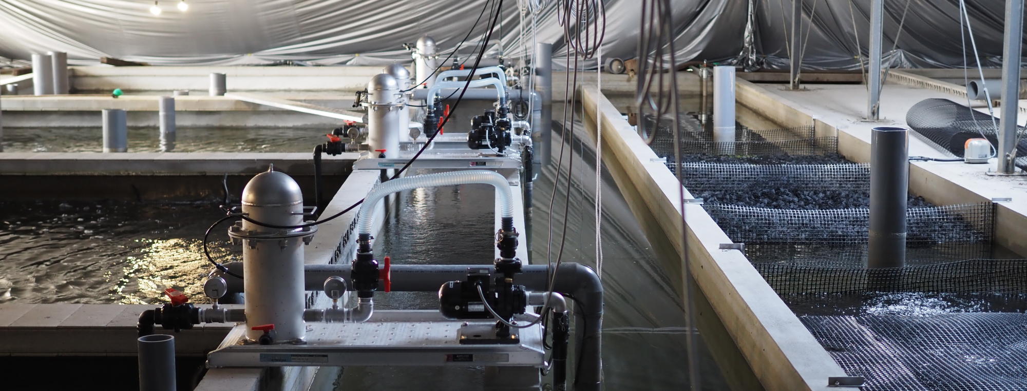 ファームシステム技研_2